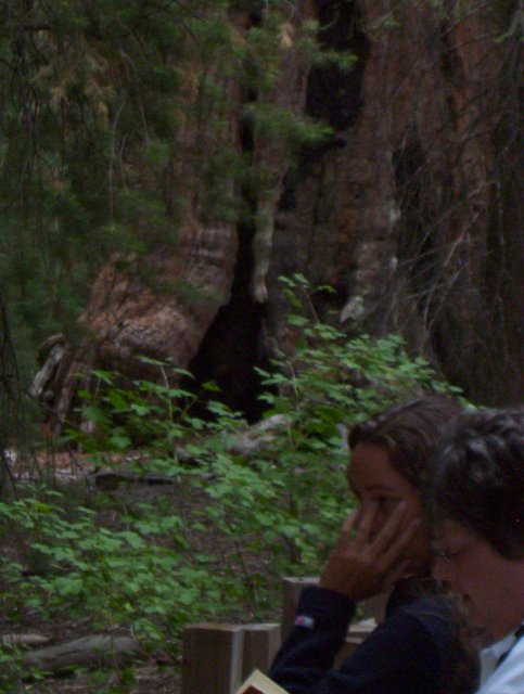 100_0266.JPG taken 