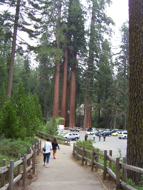 100_0267.JPG taken 