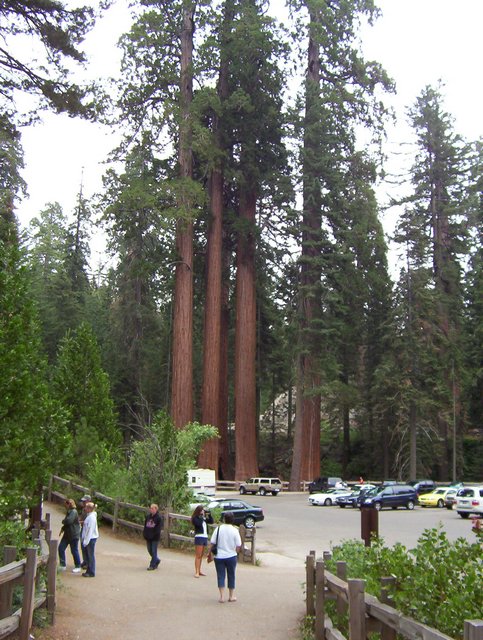 100_0268.JPG taken 