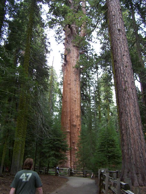 100_0316.JPG taken 
