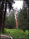 100_0250