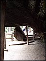 100_0253