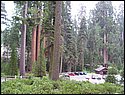 100_0255