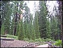 100_0258