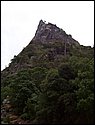 100_0290
