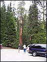 100_0303