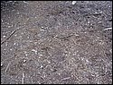 100_0309