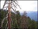 100_0325