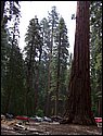 2003-07-31