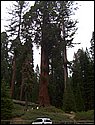 2003-08-01