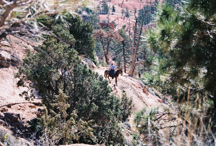 Bryce03