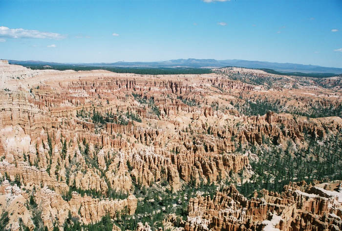 Bryce13