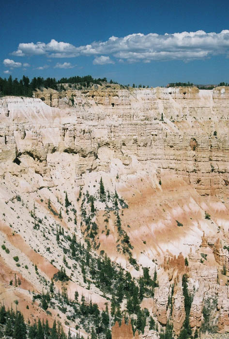 Bryce16
