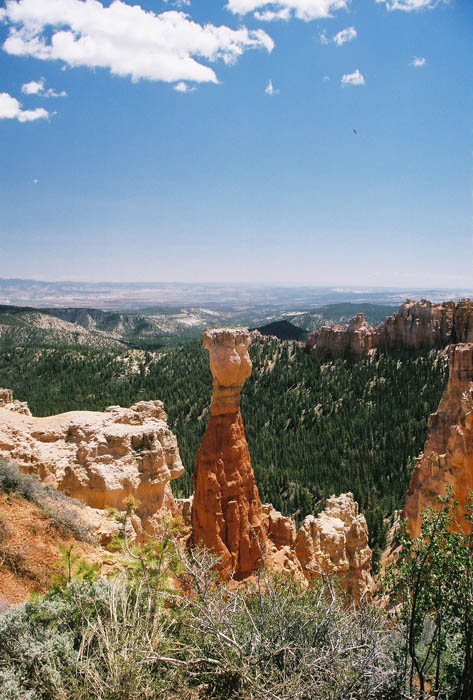 Bryce25