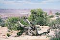 Canyonlands08