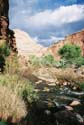 Capitol Reef07