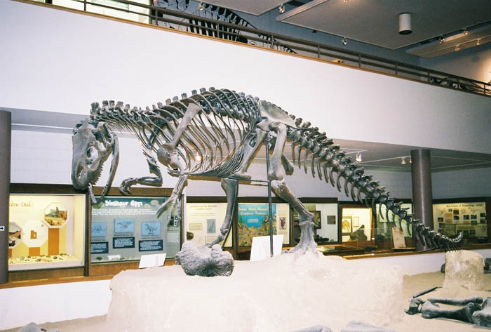 Dinosaur01