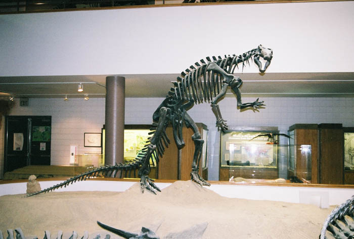 Dinosaur02