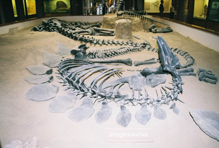 Dinosaur03