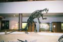 Dinosaur02