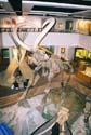 Dinosaur10