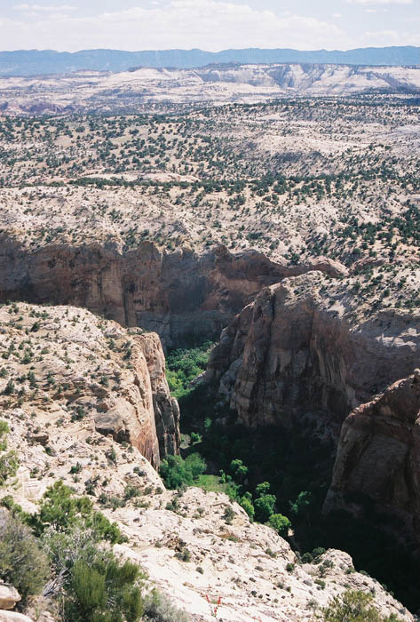 Escalante01