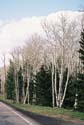 Escalante05