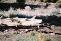 Escalante08