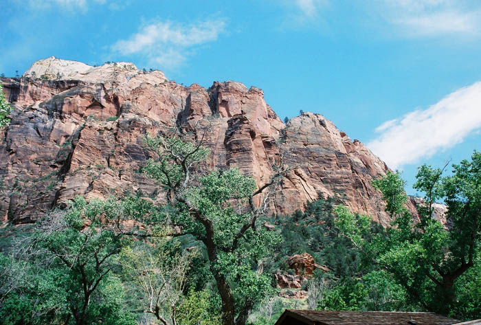 Zion01