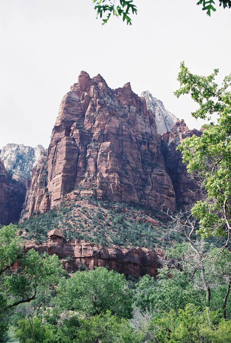 Zion03