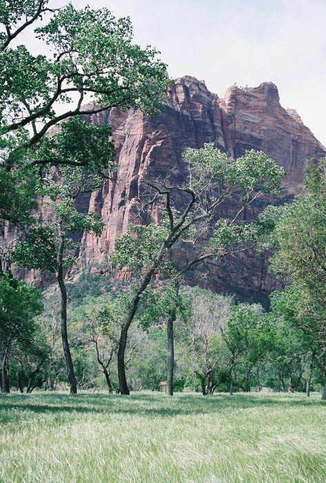 Zion04