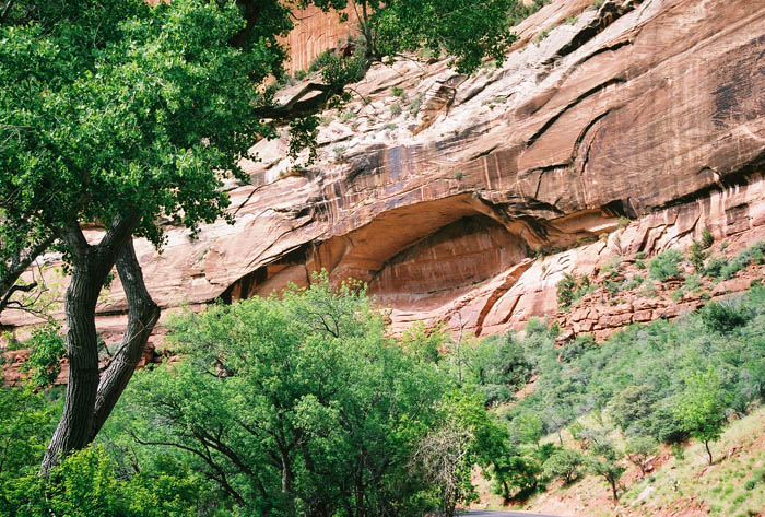 Zion07