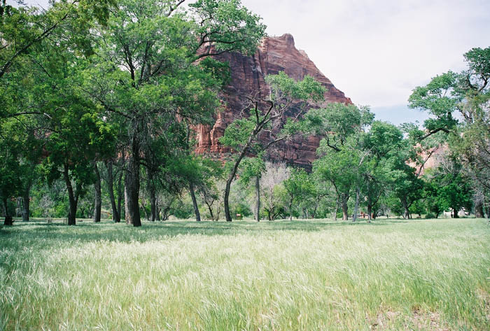 Zion11