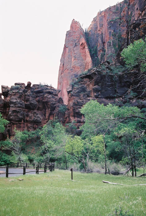 Zion12