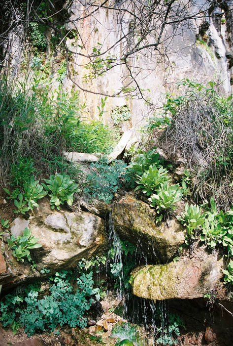 Zion15