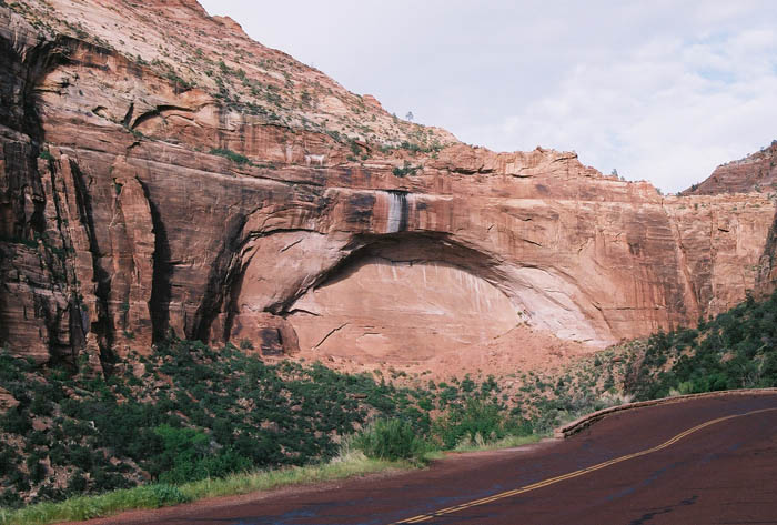 Zion16