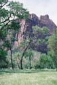 Zion04