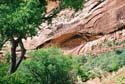 Zion07