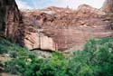 Zion08