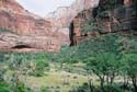 Zion09