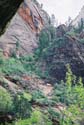 Zion10