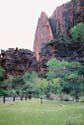 Zion12