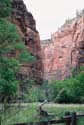 Zion14